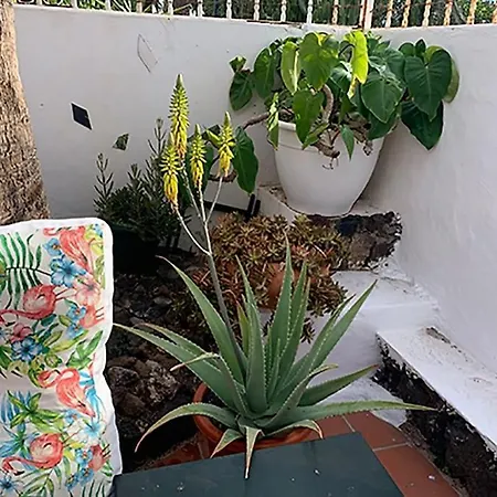 Hébergement de vacances Con Piscina Privada Lujo *